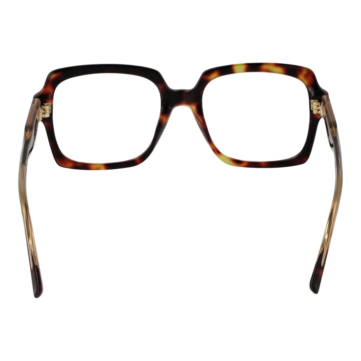 Ladies' Spectacle frame Sandro Paris SD2049 54139-3